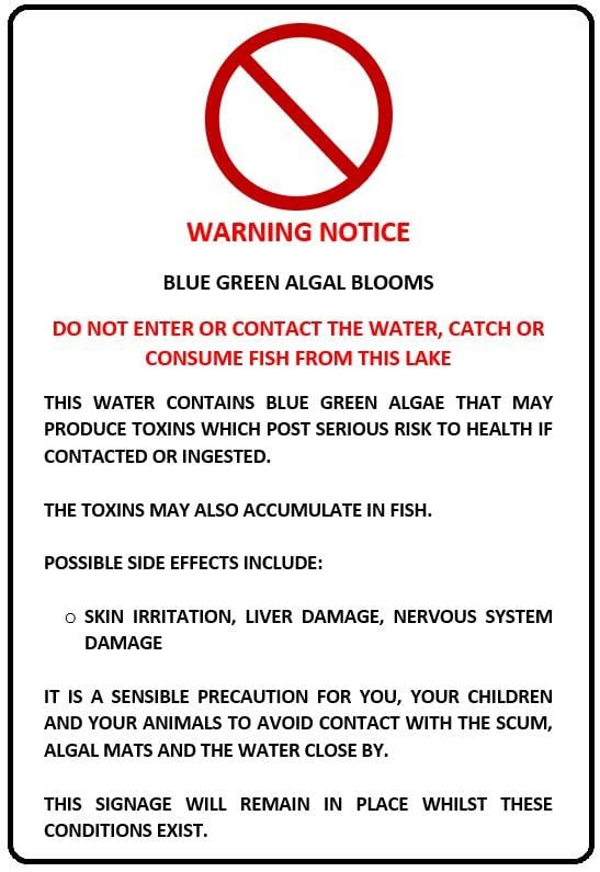 algae warning