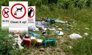 Council are aiming to tackle litter problem