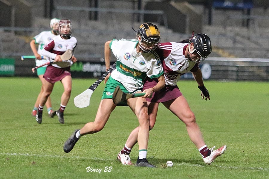 Granemore vs Ballymacnab camogie