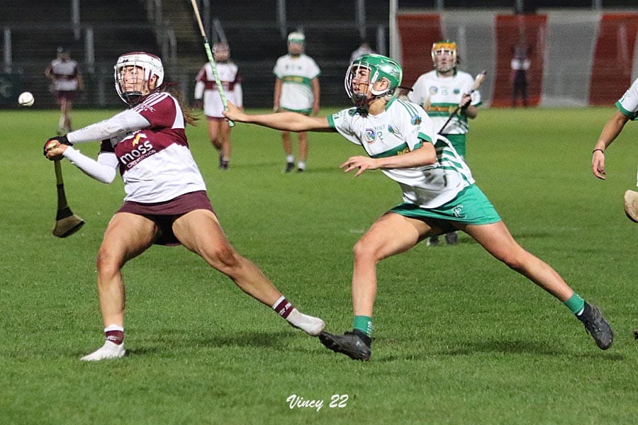 Granemore vs Ballymacnab camogie