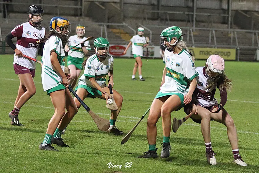 Granemore vs Ballymacnab camogie