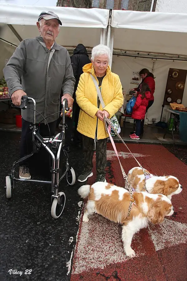 Richhill Apple Harvest Fayre 