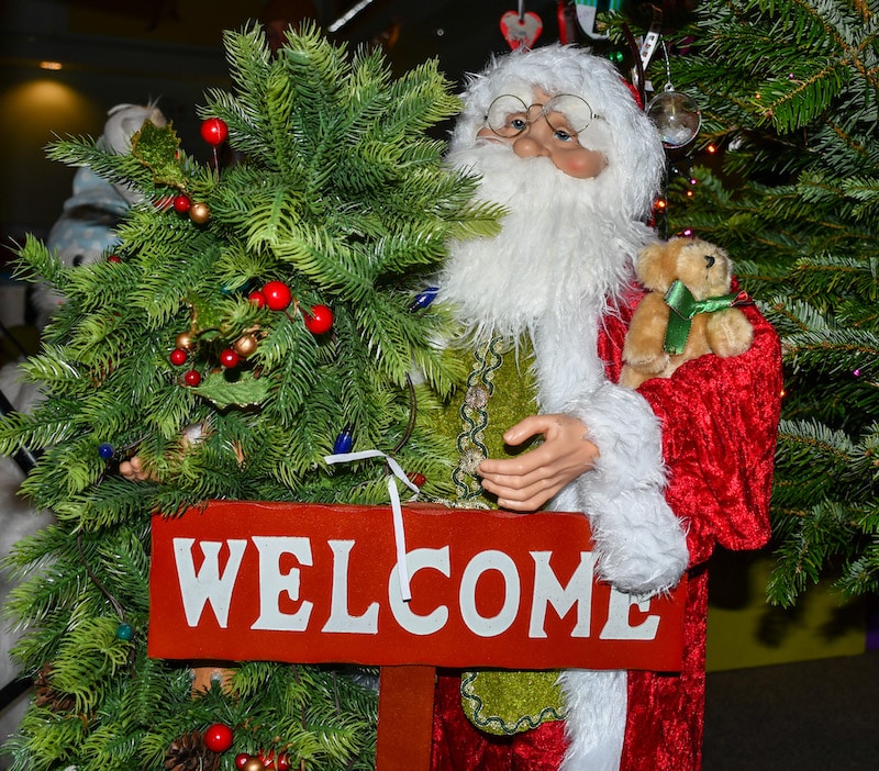 Rathore Special School's Christmas Fayre and Markets