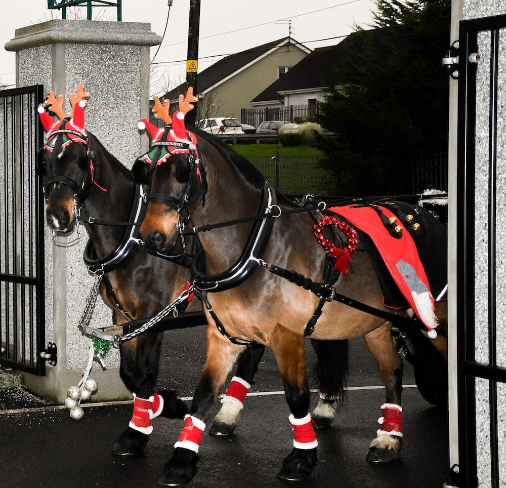 Killeavy Christmas