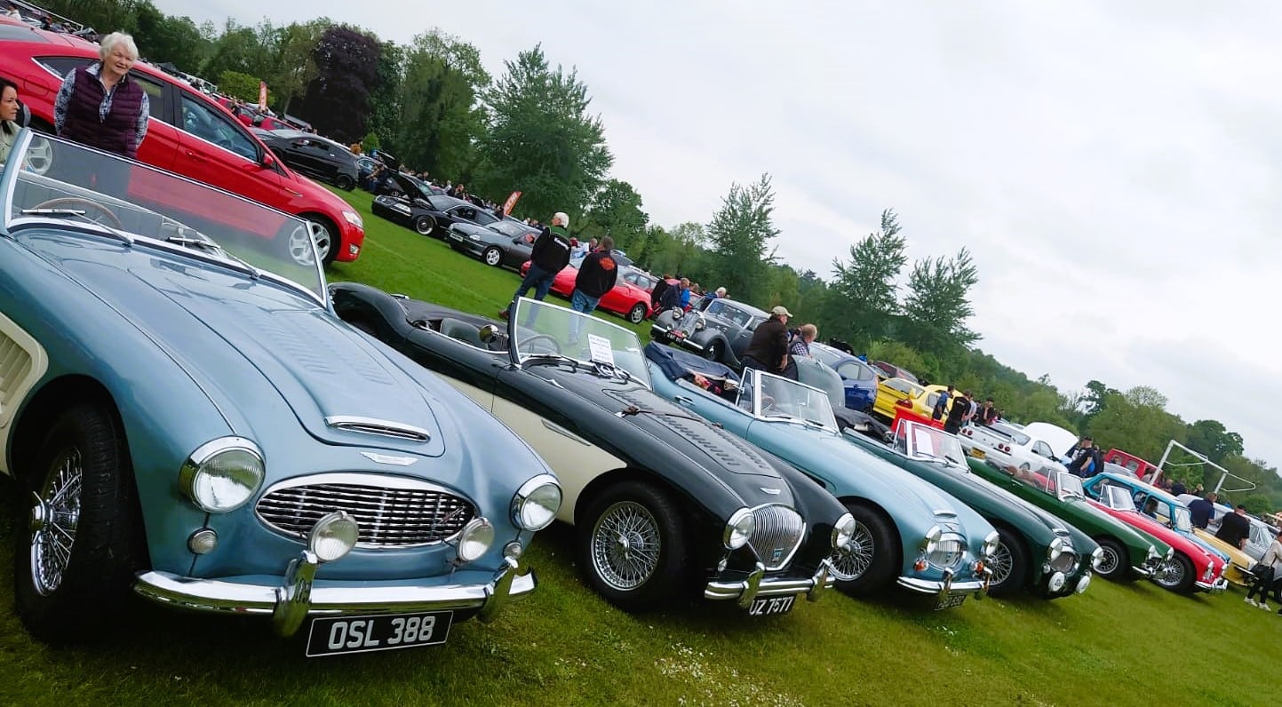 Classic showing from the Austin Healey Club
