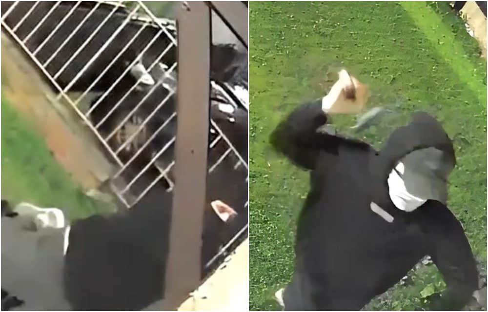 Armagh hammer attack