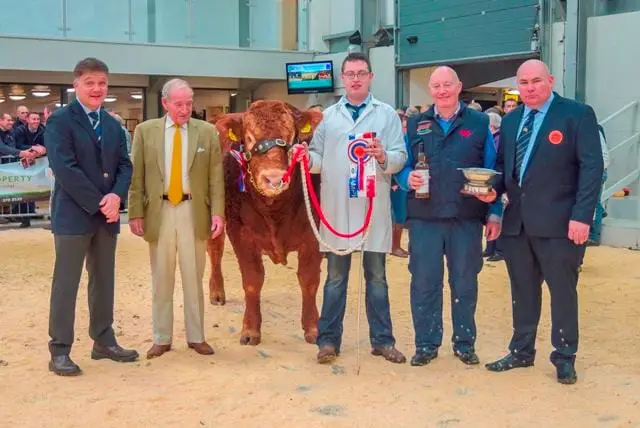 Trueman Jagger lifted the supreme championship ticket at the Limousin Society autumn show at Carlisle