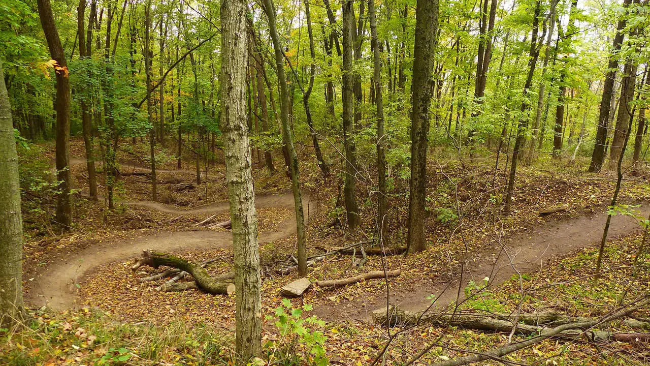 gosford mtb trails