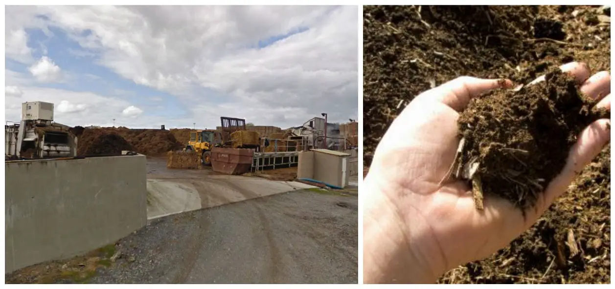 Mushroom Compost, Tandragee