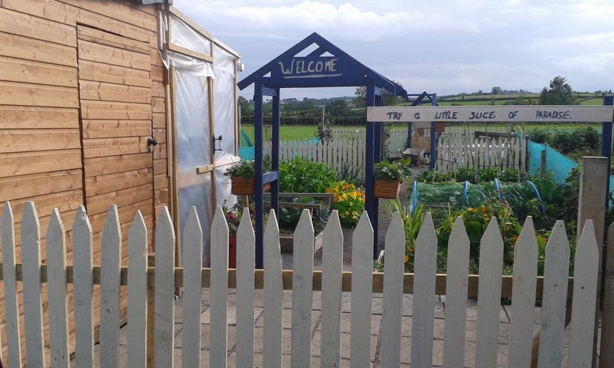 Cusher Meadow Allotments
