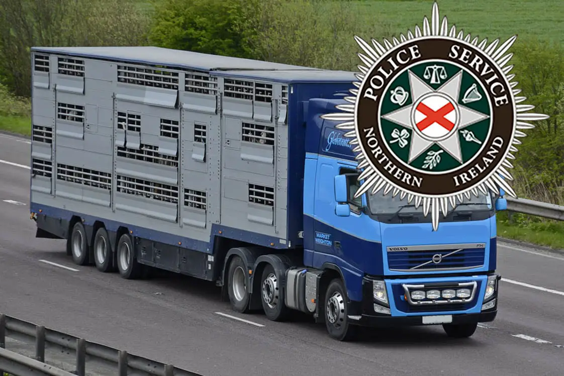 Livestock Lorry