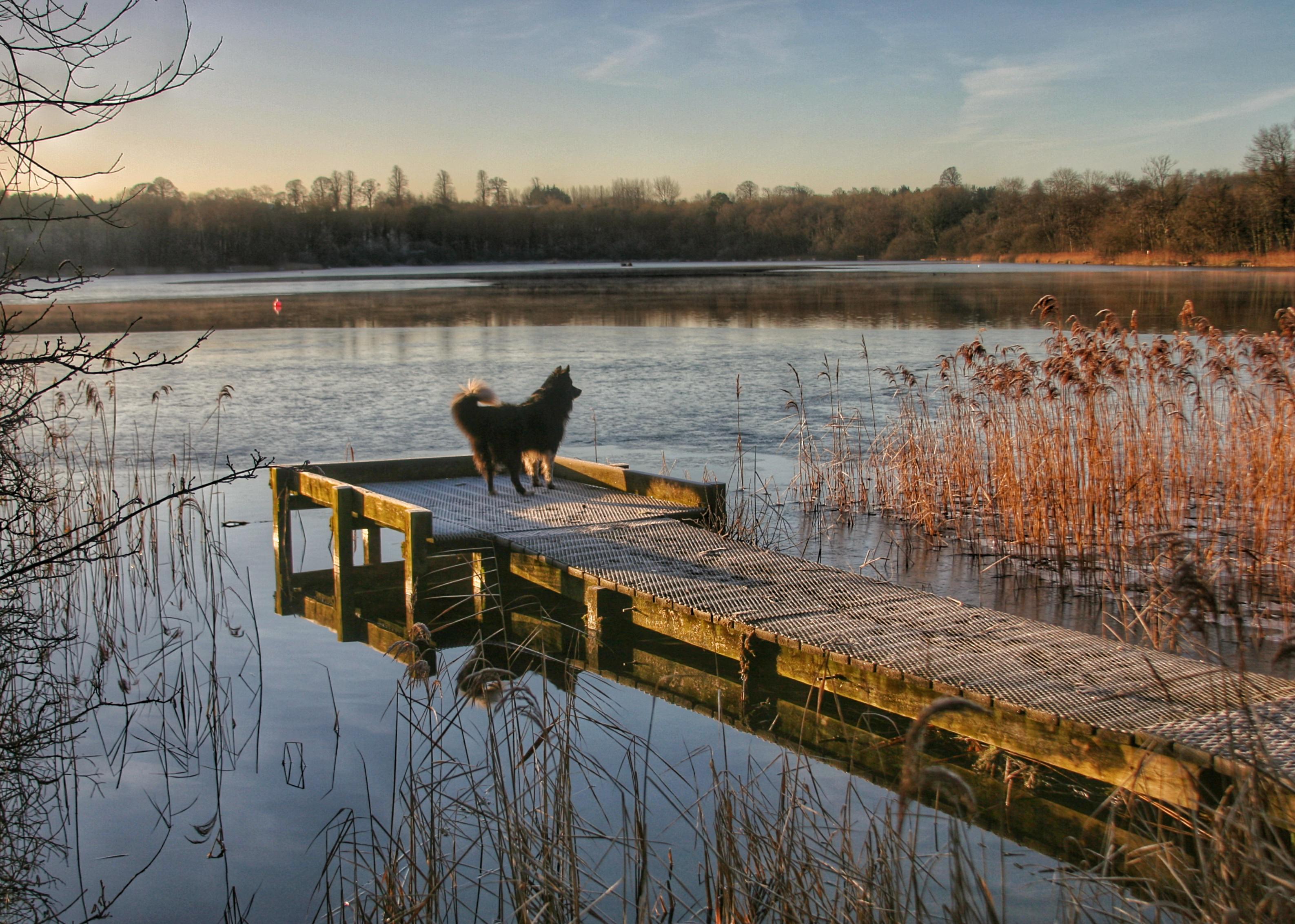 Loughgall Country Park by Tina Sterritt-Coulter