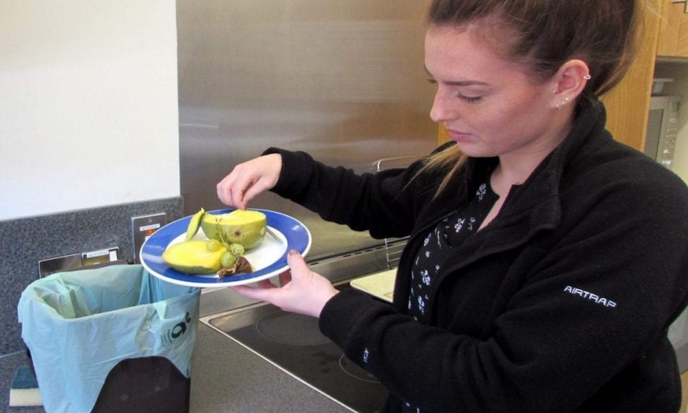 Council approve free food caddies for all primary school classrooms