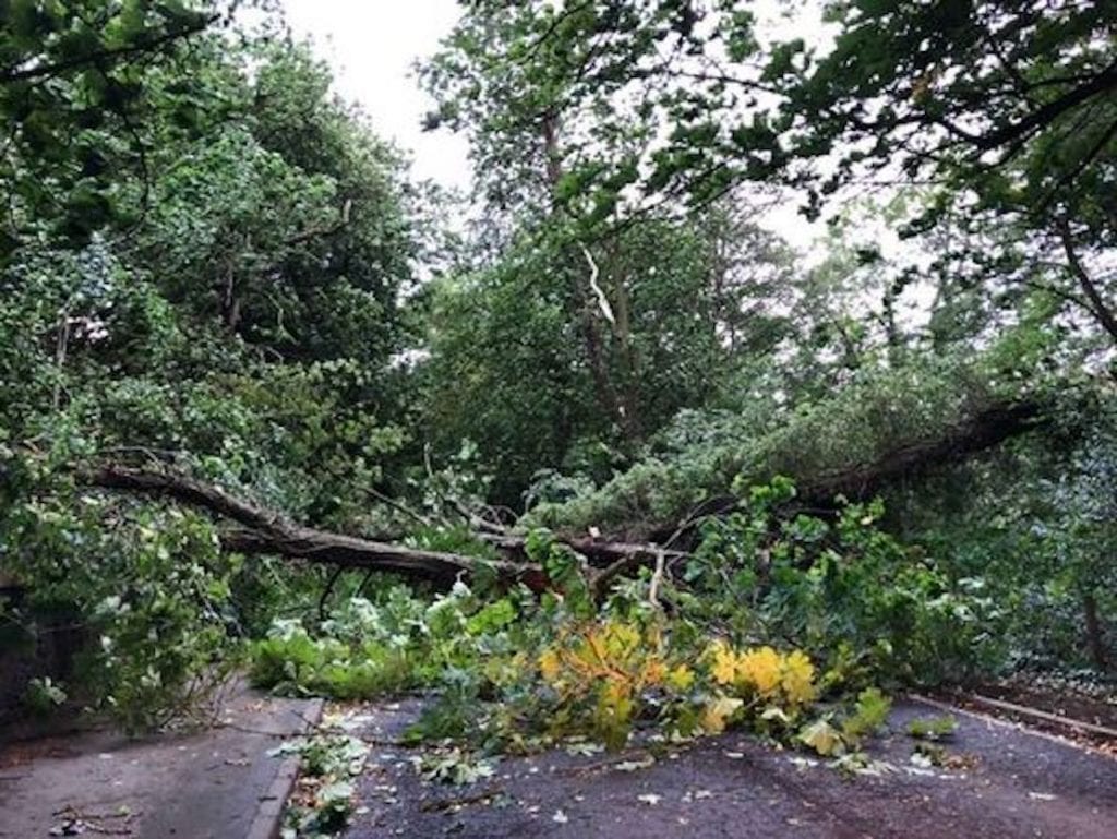 Storm Isha: Winds to exceed 50mph across Co Armagh as Met Office issue ...