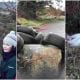 Oonagh Magennis on fly-tipping