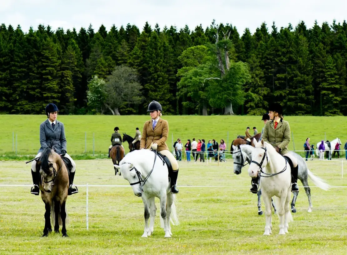 Armagh County Agricultural Show