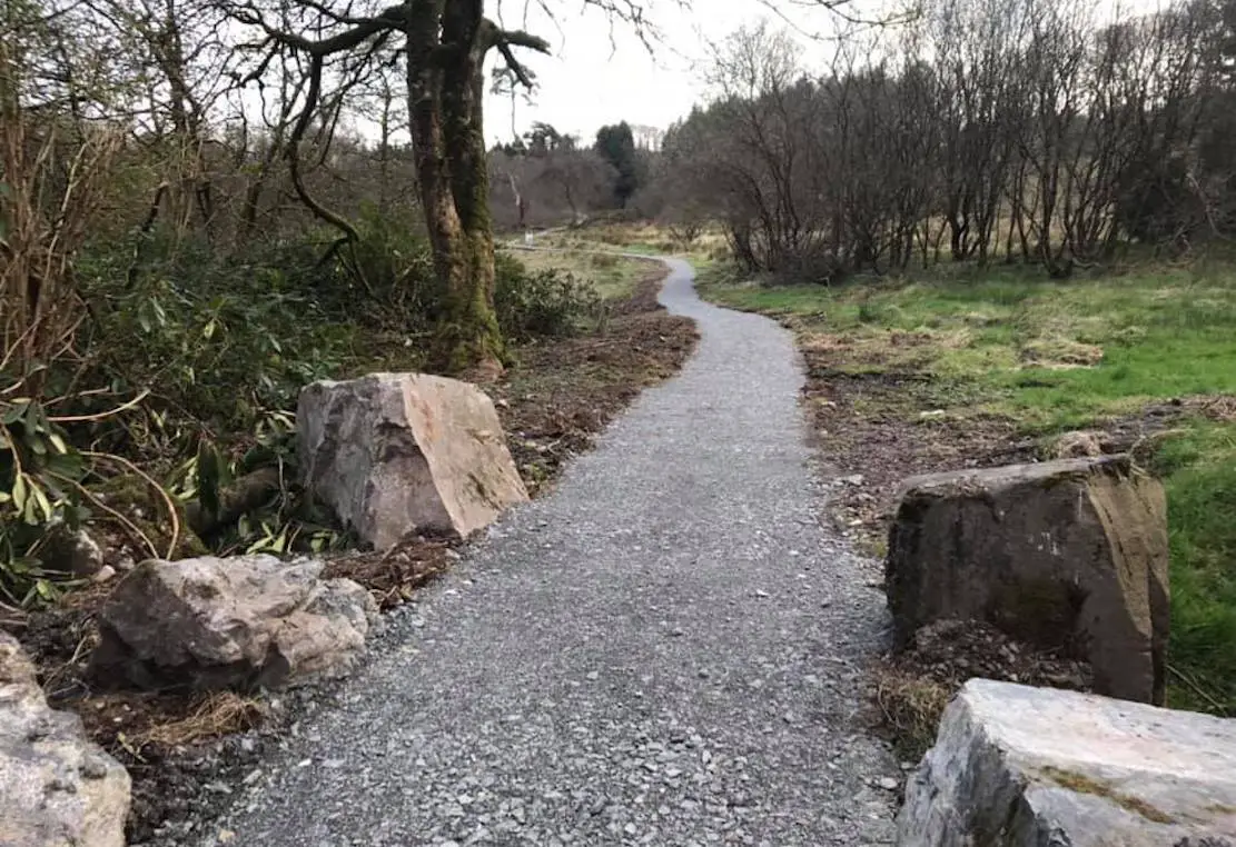 Carnagh Forest