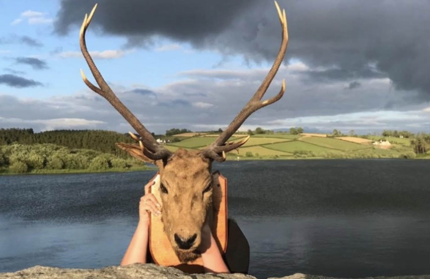 Basil Shiels stag head