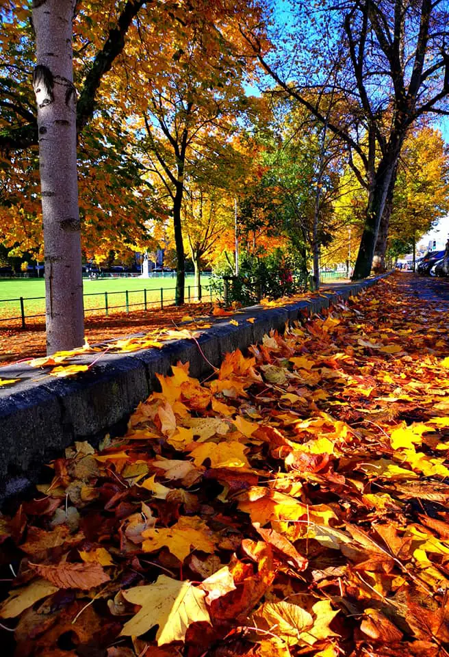 In pictures: 19 reasons to love Armagh in autumn – Armagh I