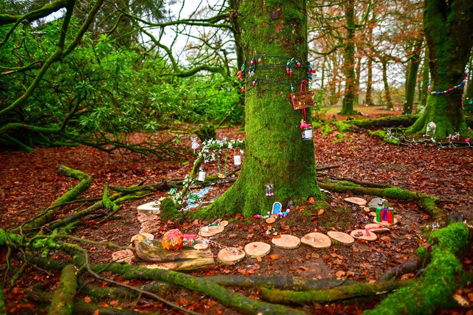 In pictures: Mystical fairy village opens at heart of Co Armagh forest ...