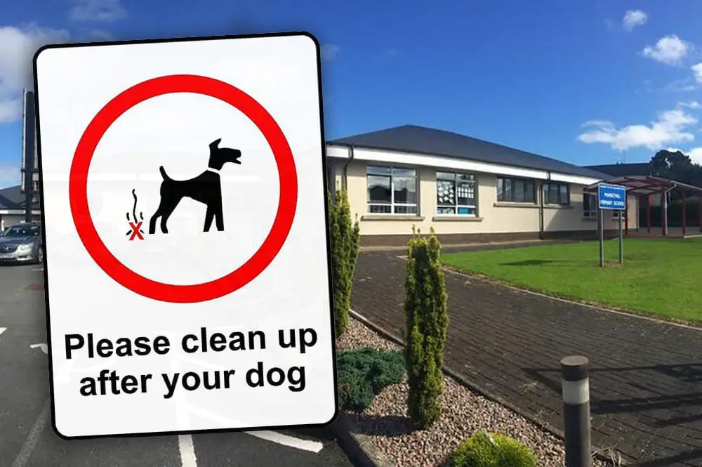 Markethill Primary dog poo