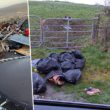 Fly-tipping south Armagh
