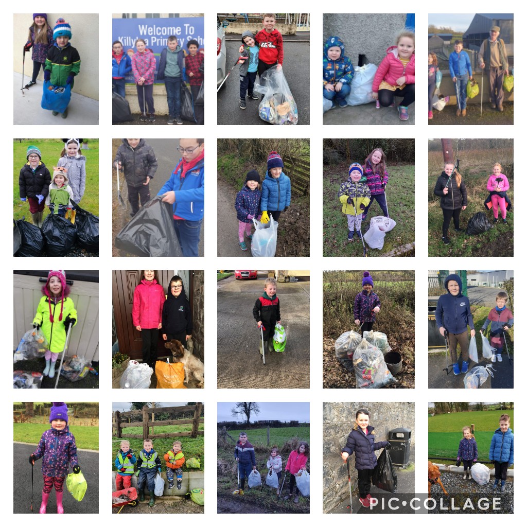 killylea primary school litter