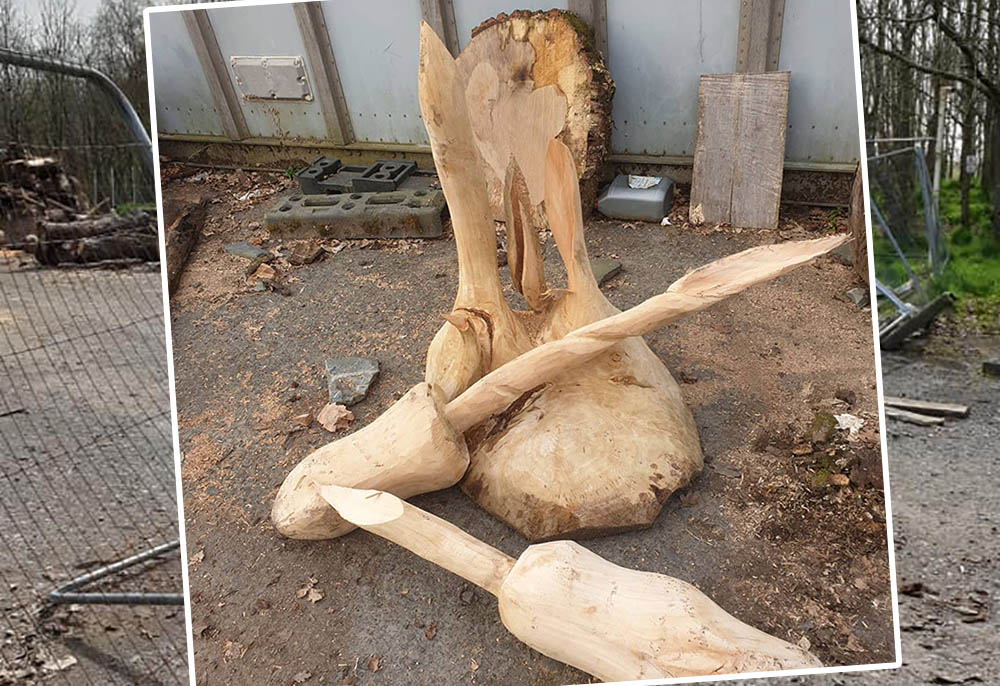 Craigavon wood carver