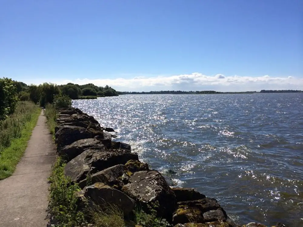 Shore of Lough Neagh at Oxford Island