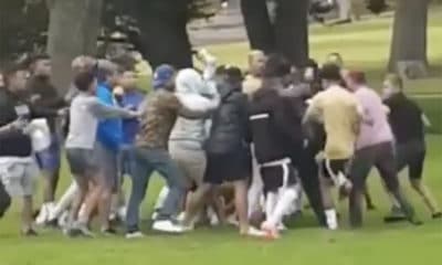 Portadown People's Park brawl
