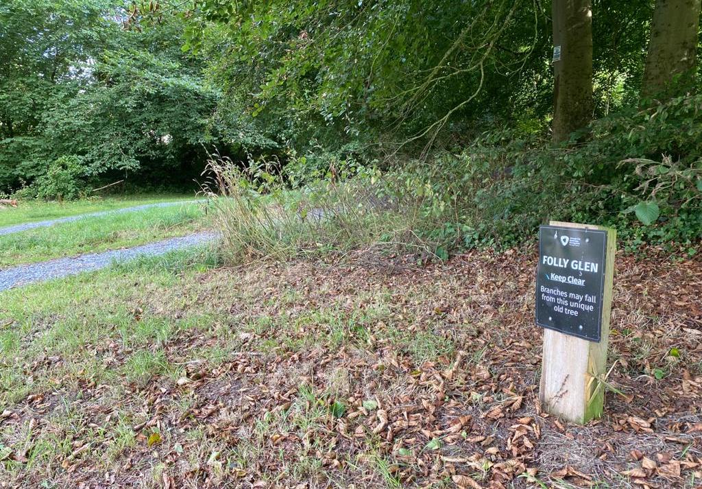 Folly Glen Armagh