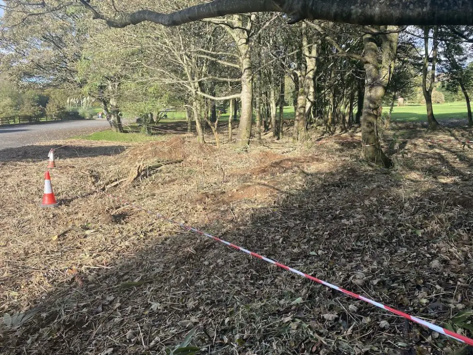 Kilbroney Forest badger sett