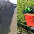 Dog fouling and waste bins litter
