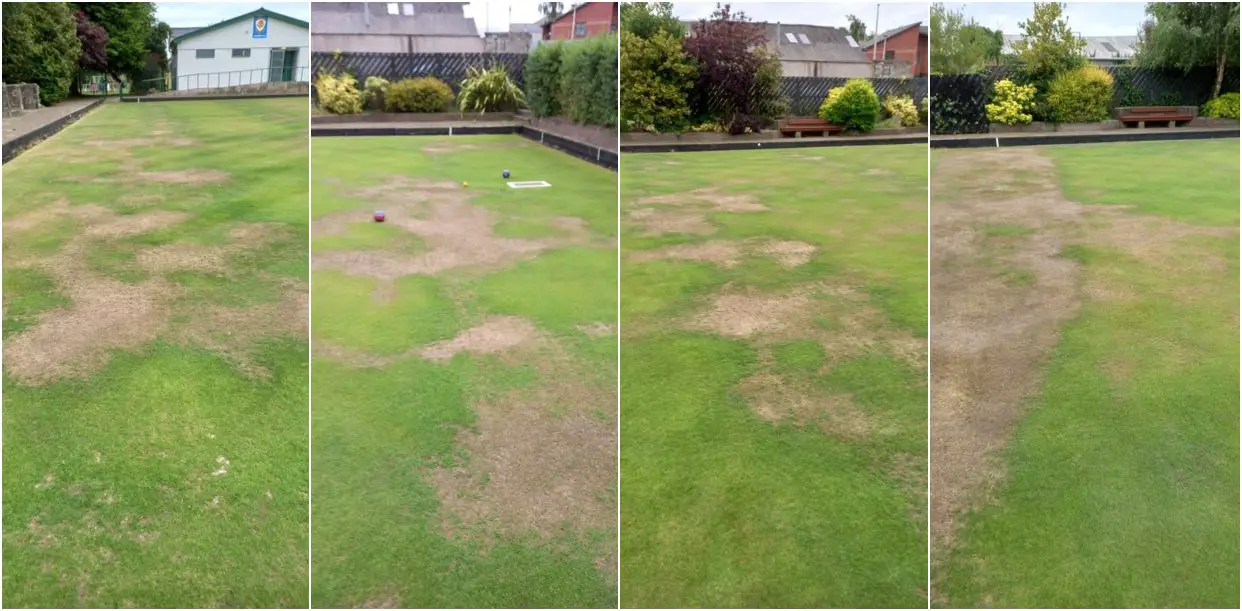 Portadown bowling green