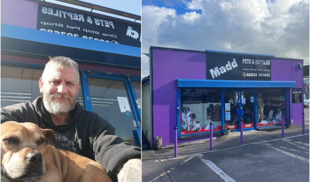 Pet shops with reptiles near me hotsell