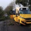 Trees falls on school bus in Richhill