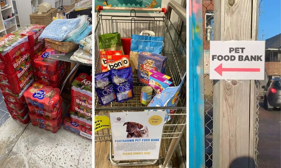Portadown Pet Food Bank set up to help dog/cat owners amid costof