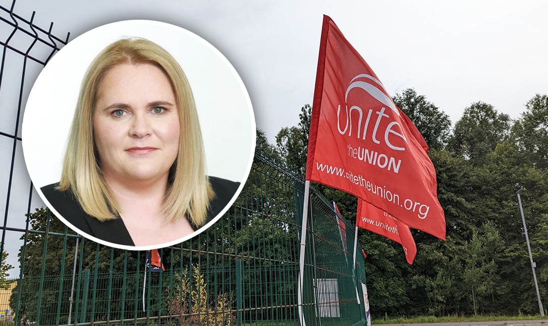 Unite Flag Strike Marie Ward CEO Newry Council