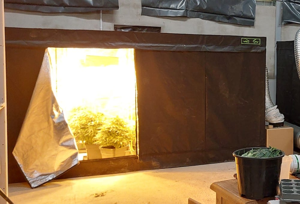 Cannabis factory Scarva