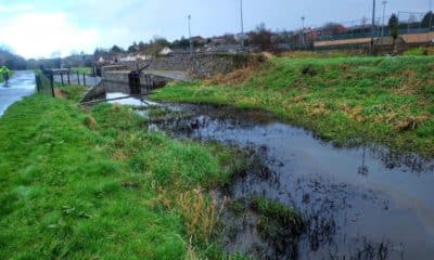 The oil spill clearly visible on Newry Canal. Photo: Lisdrumgullion News