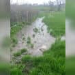 Donaghcloney sewage leak