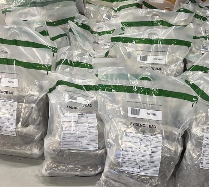 Drugs seized Belfast