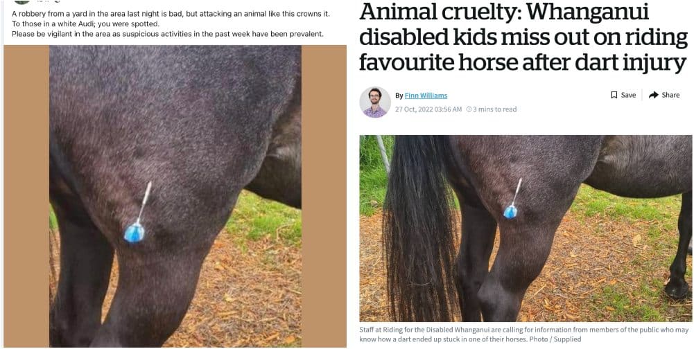 Social media post falsely claiming a horse was stabbed by a dart locally
