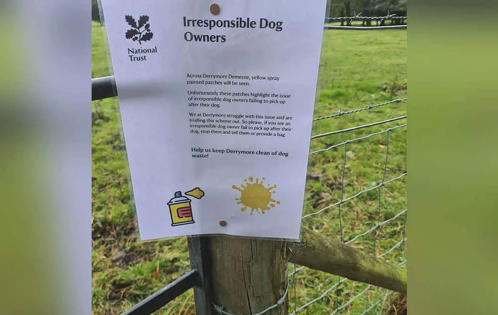 Derrymore dog fouling