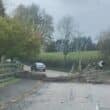 Fallen tree Castleblayney Road in Keady