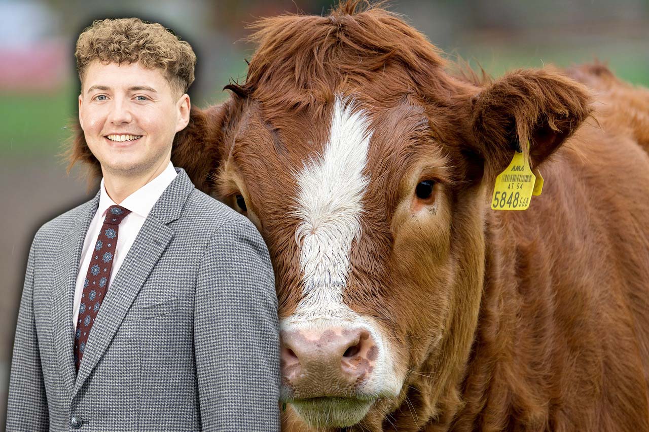 Alexander Kinnear and a cow