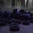 Tyres dumped in Gosford Forest Park