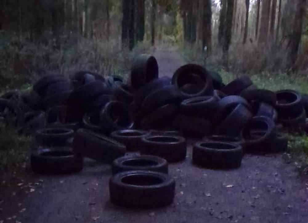 Tyres dumped in Gosford Forest Park