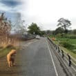 Win Industrial Park in Newry with a dog walker in the foreground