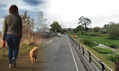 Win Industrial Park in Newry with a dog walker in the foreground